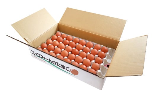 コッコファームのたまご 40個入 たまご タマゴ 卵《90日以内に出荷予定(土日祝除く)》---043-2444---