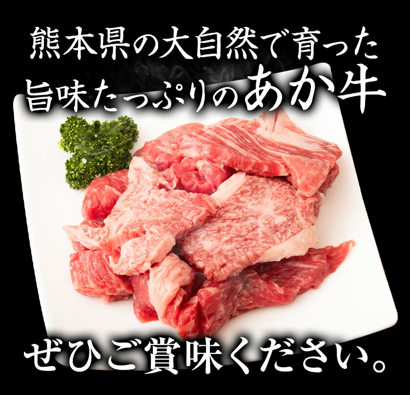 GI認証取得 くまもとあか牛 焼肉用 切り落とし 300g×2パック 合計600g あか牛 切落し 牛肉 肉 国産 九州産 熊本県産 冷凍《30日以内に出荷(土日祝除く)》---034-5006---