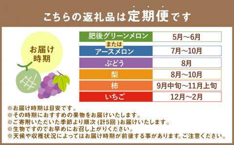 【定期便5回】厳選フルーツ便（メロン ぶどう 梨 柿 いちご）果物 5種 《お申込み月の翌月から出荷開始》 ---003-2425---