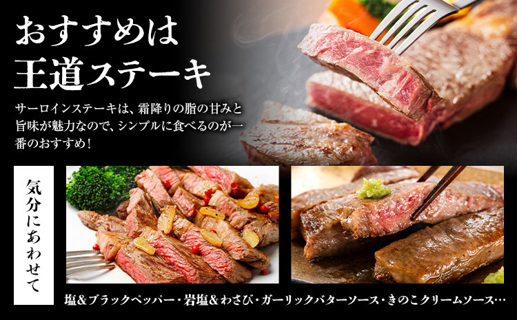 旭志牛 サーロインステーキE 160g×3枚 合計480g 有限会社旭志村ふれあいセンター《90日以内に出荷予定(土日祝除く)》お肉 牛肉 サーロイン ステーキ 菊池ブランド牛 冷凍 送料無料 ---001-1952---