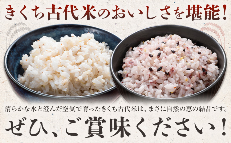 きくち古代米・もち麦 セットA【ファームきくち】 四穀 八穀 500g×1パック もち麦 200g×1パック セット 有限会社七城町特産品センター《90日以内に出荷予定(土日祝除く)》熊本県 菊池市 雑穀米 お米 米 もち麦 菊池市産 熊本県産 九州産---003-0473---