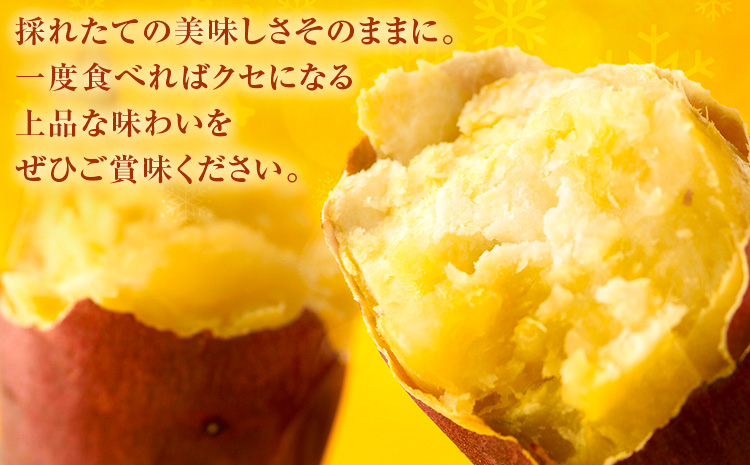 フローズン焼き芋 約200g×8袋セット 合計約1.6kg 有限会社七城町特産品センター《90日以内に出荷予定(土日祝除く)》熊本県 菊池市 冷凍焼きいも 焼き芋 からいも さつまいも冷凍---003-1421---