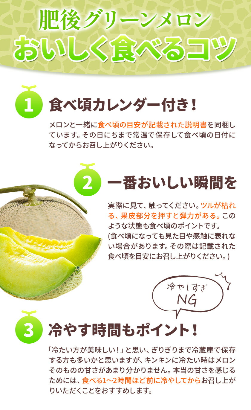 肥後グリーンメロン 1玉 2L以上【メロンドーム】 メロン 果物 フルーツ 九州産 熊本県産 送料無料【2026年5月中旬頃より出荷】【先行予約】---003-1568---