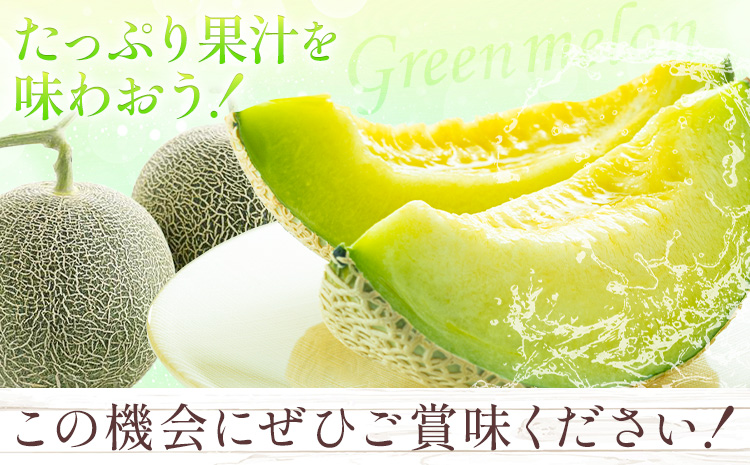 【先行予約】肥後グリーンメロン 2玉 2L以上 通常箱【メロンドーム】 有限会社七城町特産品センター《5月中旬-6月中旬頃出荷》熊本県 菊池市 メロン グリーンメロン 果物 フルーツ 熊本県産 送料無料---003-1571---