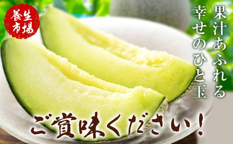 肥後グリーンメロン 約2-2.4kg×2玉【養生市場】 有限会社七城町特産品センター《5月中旬-6月中旬頃出荷》熊本県 菊池市 メロン グリーンメロン 果物 フルーツ 熊本県産 送料無料---003-1578---