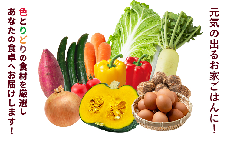 旬の野菜とたまごのセットメロンドーム 野菜 卵 にんにくたまご 卵 詰め合わせ 有限会社七城町特産品センター《30日以内に出荷予定(土日祝除く)》熊本県 菊池市 セット 新鮮 国産 九州産 熊本県 菊池市 道の駅 旬 送料無料---003-1963---