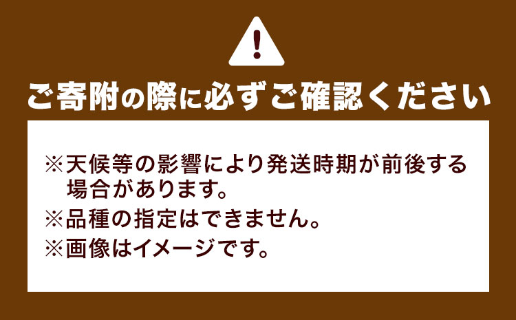 旬の野菜 定期便 計6回 旬の野菜 10品【養生市場】定期便 品種おまかせ ランダム 6ヶ月お届け 計6回 詰め合わせ セット 野菜 九州産 熊本県産《お申し込みの翌月から出荷》---003-2422---