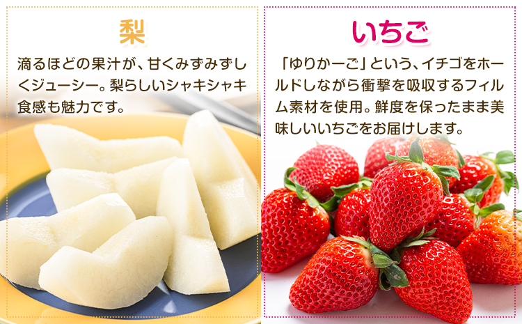 【定期便6回】特選 フルーツ 便 ( メロン すいか ぶどう 梨 いちご ) スイカ 葡萄 ブドウ ナシ なし 苺 イチゴ 果物 くだもの セット 詰合せ 定期便 メロンドーム《お申込み翌月から出荷》---003-2426---