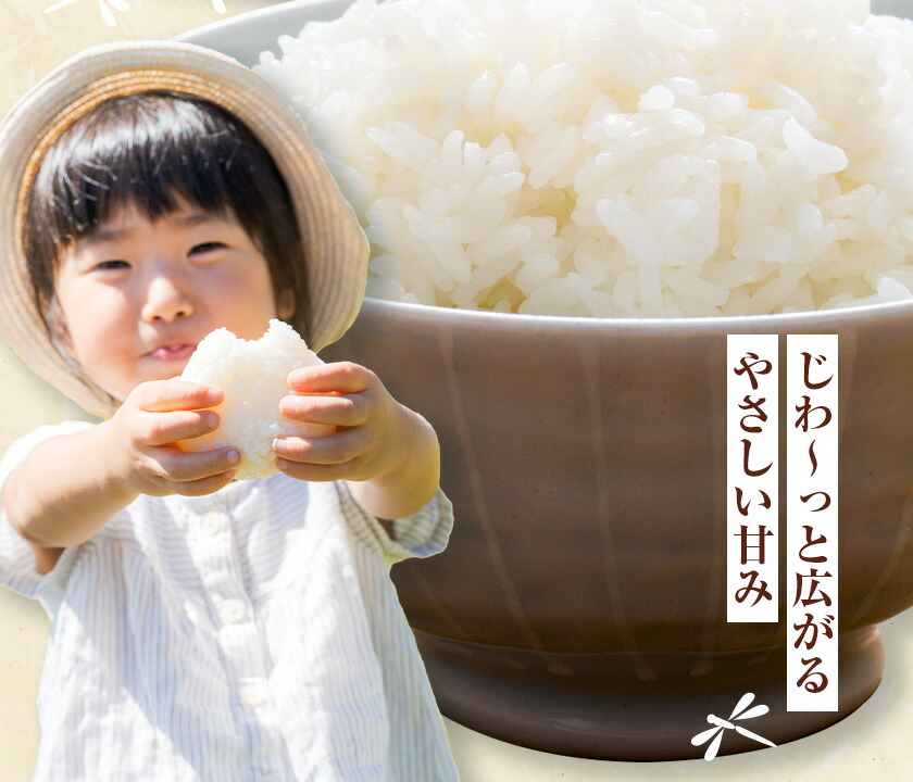 令和7年産 七城のこめ 精米 5kg ヒノヒカリ ひのひかり 有限会社七城町特産品センター 《30日以内に出荷予定(土日祝除く)》 熊本県 菊池市 定期便 お米 米 白米 九州産 熊本県産---003-0545---