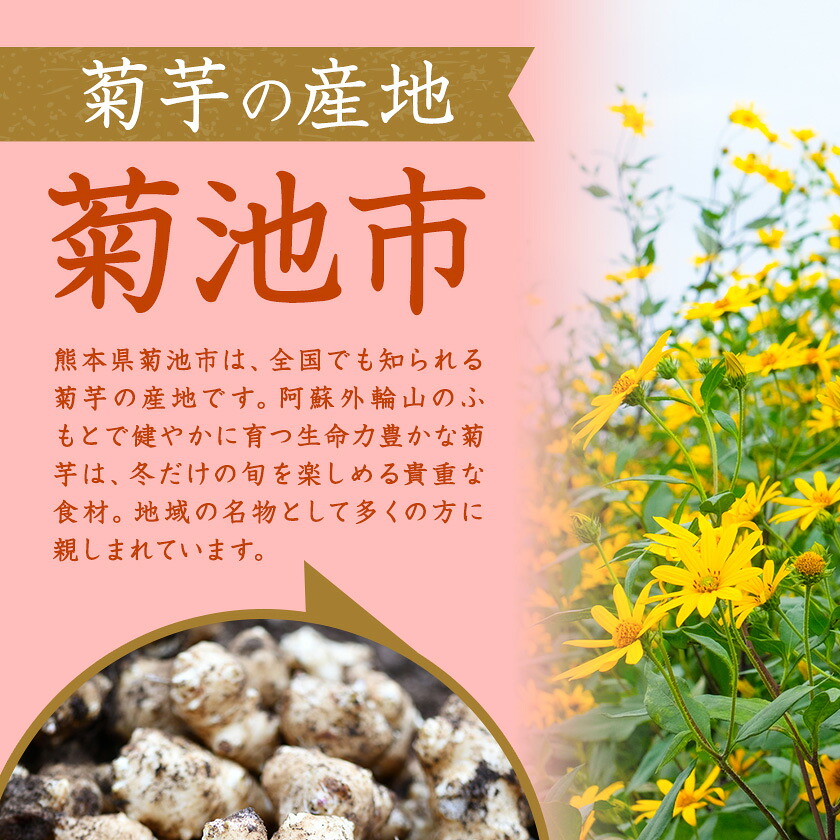 菊芋茶セット 5袋 2g×10包 お茶 ティーパック 有限会社きくち観光物産館《90日以内に出荷予定(土日祝除く)》熊本県 菊池市 きくいも 菊芋 お茶 健康 セット 送料無料---004-0406---