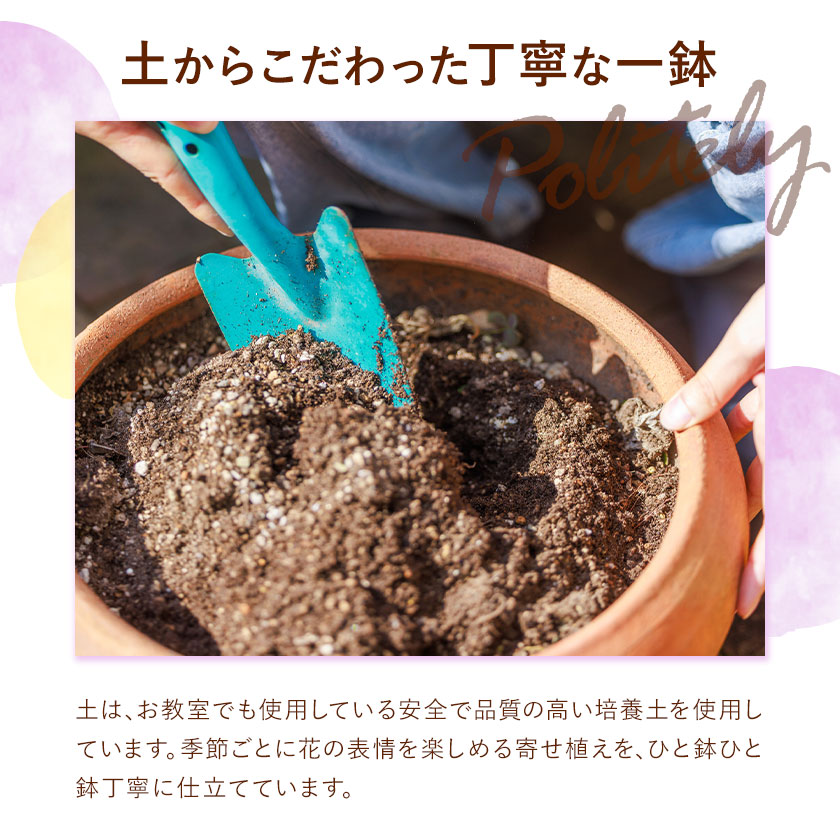 【6ヶ月定期便】フォーシーズン お花の寄せ植え 直径20～25cm Fleurbranch 《申込みの翌月出荷》熊本県 菊池市 定期便 花 鉢花 鉢植え 観葉植物 植物 インテリア ガーデン 雑貨---020-1410---