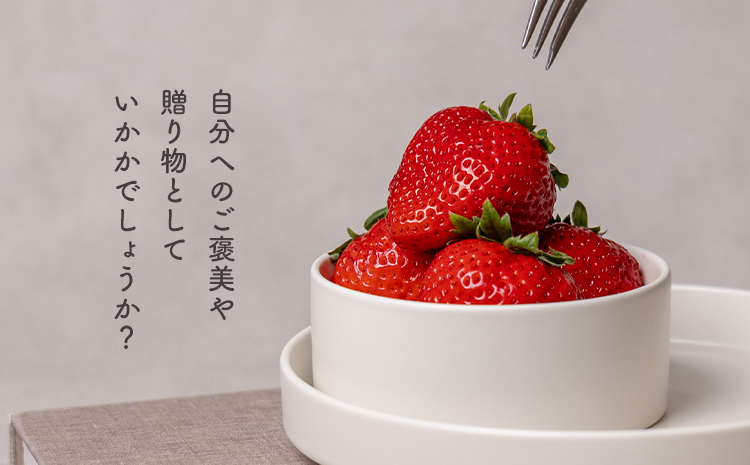 贅沢イチゴ ひのしずく 約45g×12玉 いちご イチゴ 苺《2026年1月発送予定》ヴァリアス株式会社 果物 くだもの フルーツ 希少 ギフト プレゼント 贈り物 国産 九州産 熊本県 菊池市 送料無料---028-0002---