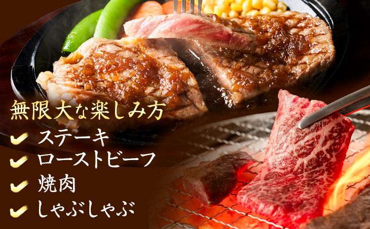 熊本県産 くまもとあか牛 ロースブロック 1kg 株式会社エフビーネット《30日以内に出荷予定(土日祝除く)》熊本県 菊池市 和牛 あか牛 牛肉 肉 赤身 ロース ブロック 国産 九州産 熊本県産 冷凍 送料無料---034-5004---
