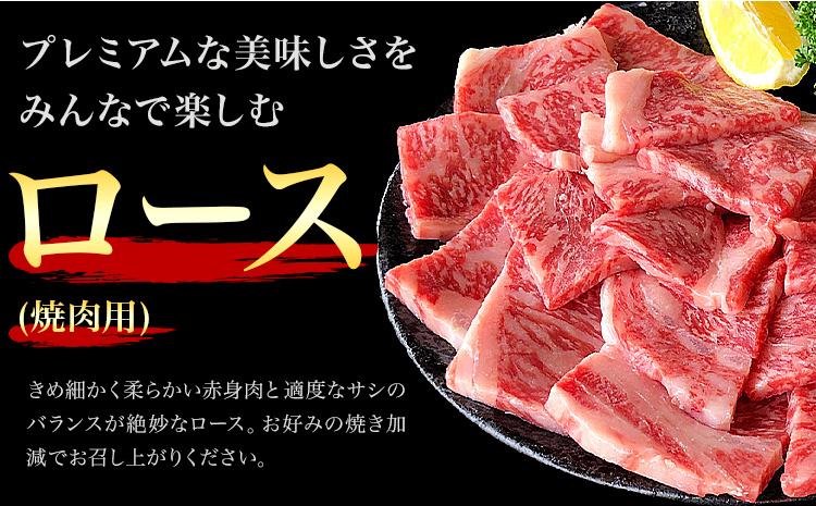 熊本県産 黒毛和牛 ロース 焼肉用 400g 《90日以内に出荷予定(土日祝除く)》国産 牛肉 焼き肉st-p---039-2010---