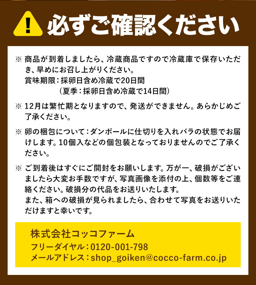 コッコファームのたまご 160個 コッコファーム《90日以内に出荷予定(土日祝除く)》熊本県 菊池市 卵 鶏卵 玉子 たまご 家庭用 熊本県産 九州産 冷蔵 送料無料---043-2019---