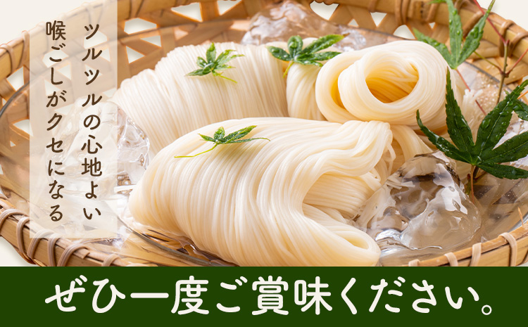 地粉の薫(かおり)そうめん 200g×10袋 合計2kg 自然栽培小麦100% 《90日以内に出荷予定(土日祝除く)》 ---047-0513---st-p