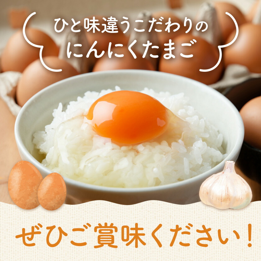 卵 にんにくたまご 内容量 30個 株式会社つづき《90日以内に出荷予定(土日祝除く)》熊本県 菊池市 卵 たまご にんにく卵 鶏卵 熊本県産 九州産 冷蔵 送料無料---064-2486---