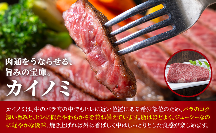 熊本あか牛 極上ステーキ 3品 セット 合計約4.2kg 3種類 サーロイン シャトーブリアン カイノミ 合同会社たべたせいか《30日以内に出荷予定(土日祝除く)》熊本県 菊池市 肉 牛肉 お肉 あか牛 ステーキ 希少部位 詰め合わせ 食べ比べ 熊本県産 冷凍 送料無料---069-1231---