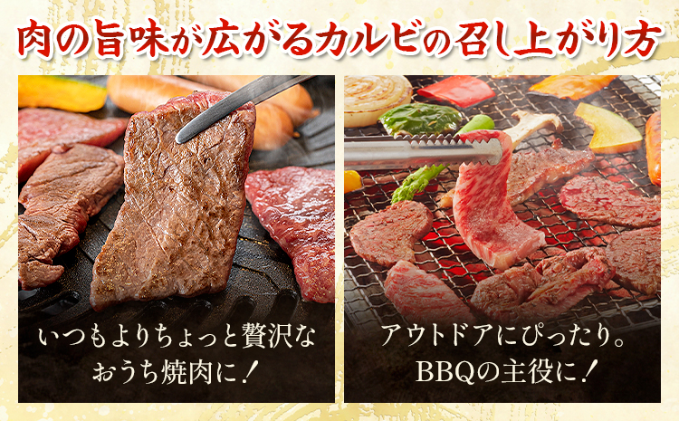 あか牛カルビ 焼き肉用 約800g 合同会社たべたせいか《30日以内に出荷予定(土日祝除く)》熊本県 菊池市 肉 牛肉 お肉 和牛 あか牛 焼き肉 焼肉 やきにく BBQ バーベキュー カルビ 熊本県産 冷凍 送料無料---069-2061---
