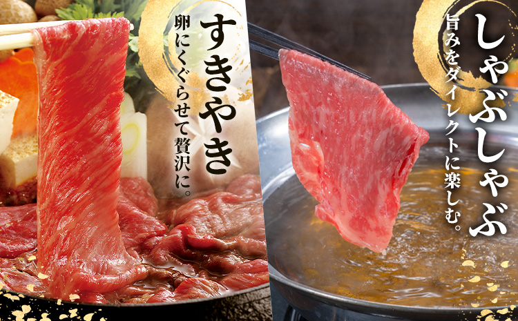 熊本あか牛 肩ロース 約500g 合同会社たべたせいか《30日以内に出荷予定(土日祝除く)》熊本県 菊池市 肉 牛肉 お肉 和牛 あか牛 ロース スライス すき焼き しゃぶしゃぶ 熊本県産 冷凍 送料無料---069-2063---