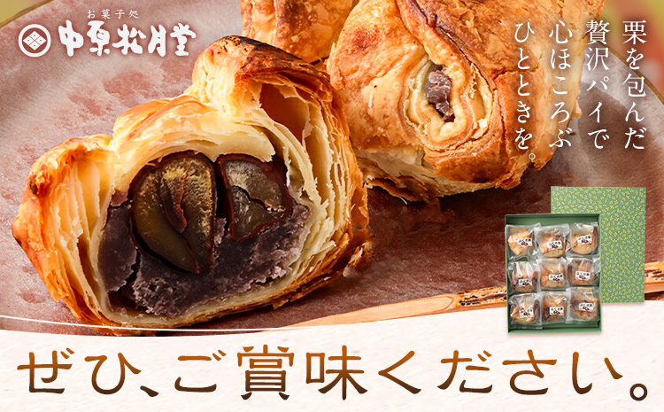 菊池銘菓 ふくさ栗 1箱 9個入り 有限会社中原松月堂 《30日以内に出荷予定(土日祝除く)》熊本県 菊池市 和菓子 洋菓子 お菓子 焼き菓子 菓子折り 銘菓 栗 和栗 パイ生地 デザート スイーツ 九州---074-1255---