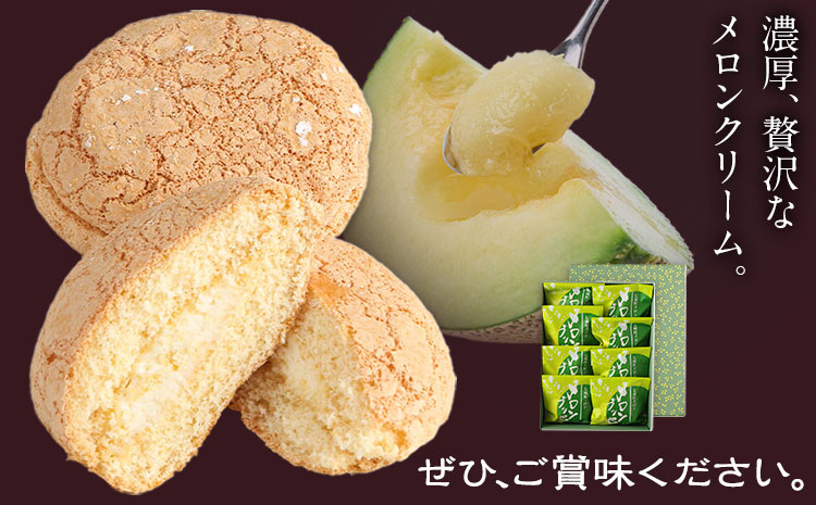 菊池銘菓 メロンブッセ 1箱 8個入り 有限会社中原松月堂《30日以内に出荷予定(土日祝除く)》 熊本県 菊池市 和菓子 洋菓子 お菓子 焼き菓子 菓子折り 銘菓 メロン ブッセ デザート スイーツ 九州---074-1257---