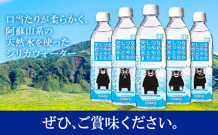 【12ヶ月定期便】なめらかつややかしっとり天然水 500ml 合計48本 24本×2ケース 12回 株式会社サンコー熊本営業所《お申し込みの翌月から出荷》天然水 軟水 鉱水 シリカ水 飲料水 ミネラルウォーター ペットボトル 熊本県 菊池市 送料無料---095-1525---