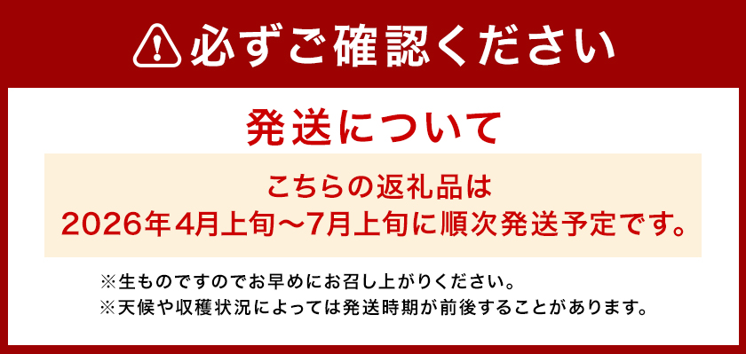 キンショーメロン 4kg(6～9玉) メロン《2026年4月上旬-7月上旬頃出荷》熊本県 菊池市 果物 フルーツ 金鐘 ノーネットメロン 黄色いメロン 菊池市産 熊本県産 九州産 送料無料---101-3001---
