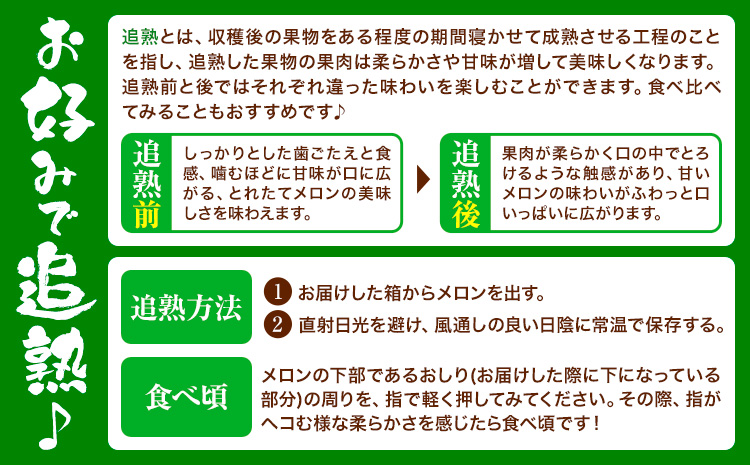 つるたファームの 朝採り 肥後グリーン メロン 1.8kg以上 2玉 株式会社七城の恵み《5月上旬頃から出荷開始》熊本県 菊池市 メロン つるたファーム---126-2513---