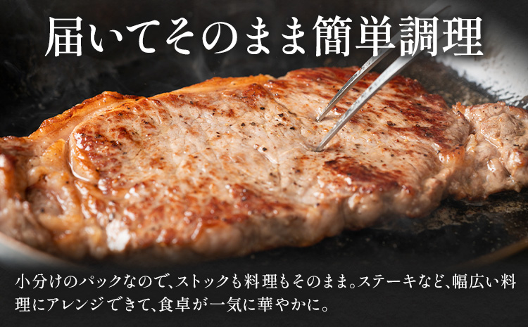 阿蘇あか牛 サーロイン 合計約500g 約100g×5袋 株式会社LARKS《30日以内に出荷予定(土日祝除く)》お肉 和牛 あか牛 ステーキ 熊本県産 九州産 国産 冷凍 送料無料---133-1869---