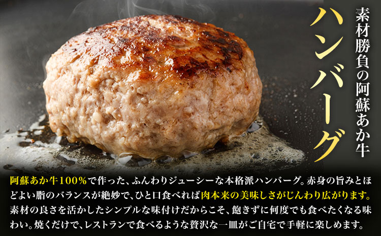 阿蘇あか牛丼1人前と阿蘇あか牛ハンバーグ2個 セット 株式会社LARKS《30日以内に出荷予定(土日祝除く)》肉 牛肉 あか牛 ローストビーフ ハンバーグ 冷凍 贈り物 名物 熊本県 送料無料---133-2113---