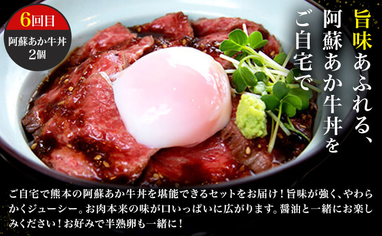 【6ヶ月定期便】阿蘇あか牛満喫セット 株式会社LARKS《お申し込み月の翌月から出荷開始》肉 牛肉 あか牛 ローストビーフ ハンバーグ 冷凍 名物 熊本県 毎月届く 送料無料---133-2114---