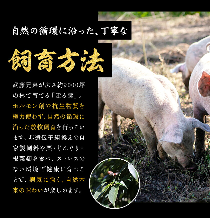 菊池やまあいの豚小間スライス 800g 《90日以内に出荷予定》(土日祝除く)》1パック200g 豚肉 豚小間 スライス済み 小分け 熊本県産 九州産 国産 冷凍 送料無料---167-2282---