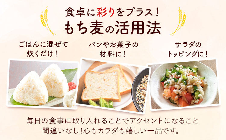有機JAS もち麦 合計1kg 200g×5袋 渡辺農産 《90日以内に出荷予定(土日祝除く)》 熊本県 菊池市 もちむぎ ダイシモチ 国産 九州産 熊本県産 ---171-1916---