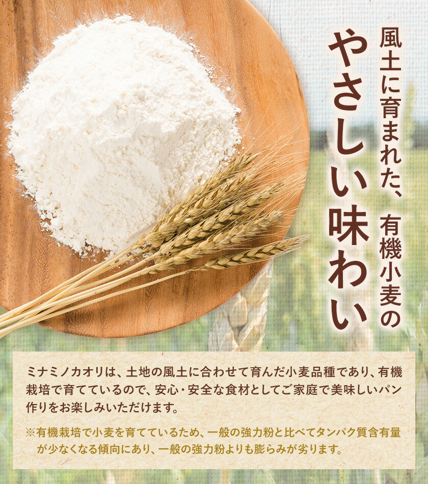 有機JAS小麦使用 強力粉 合計3kg 1kg×3袋 《30日以内に出荷予定(土日祝除く)》熊本県 菊池市 小麦粉 ミナミノカオリ パンづくり 粉類 国産 九州産 熊本県産 送料無料---171-1917---