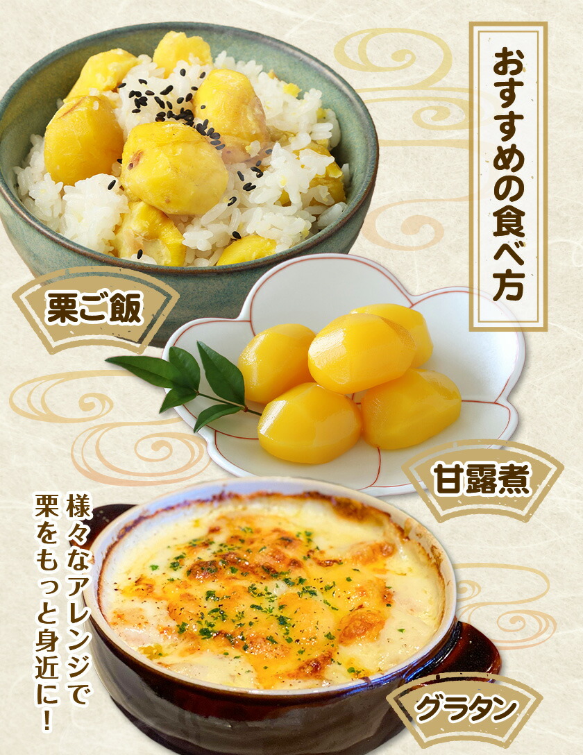 菊池水源産 さのまろん 冷凍剥き栗 内容量 約500g 農事組合法人菊池佐野《30日以内に出荷予定(土日祝除く)》熊本県 菊池市 栗 むき栗 筑波 冷凍 熊本県産 九州産 国産 送料無料 ---176-2191---