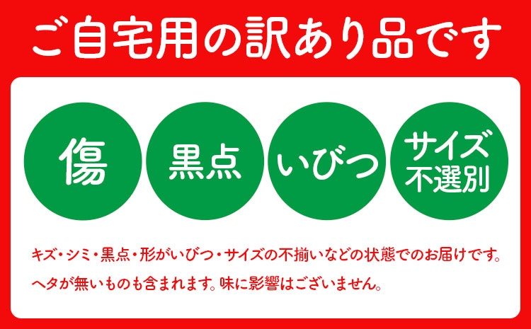 【先行予約】メロン 訳ありメロン 品種おまかせ 約4kg 2-7玉 ランダム 株式会社Foody’s 食彩たかみ《2026年5月下旬-7月下旬頃出荷》 おまかせ ご家庭用 メロン フルーツ 菊池市産 熊本県産 九州産 冷蔵 送料無料---177-2671---