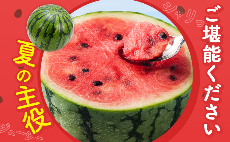 【先行予約】スイカ 訳あり 大玉すいか 1玉 約 6kg ～ 9kg L ～ 3L 混合 株式会社Foody’s 食彩たかみ 《2026年5月下旬-7月下旬頃出荷》 熊本県 菊池市 フルーツ 果物 スイカ すいか 訳あり 大玉 九州産 冷蔵 送料無料---177-2673---