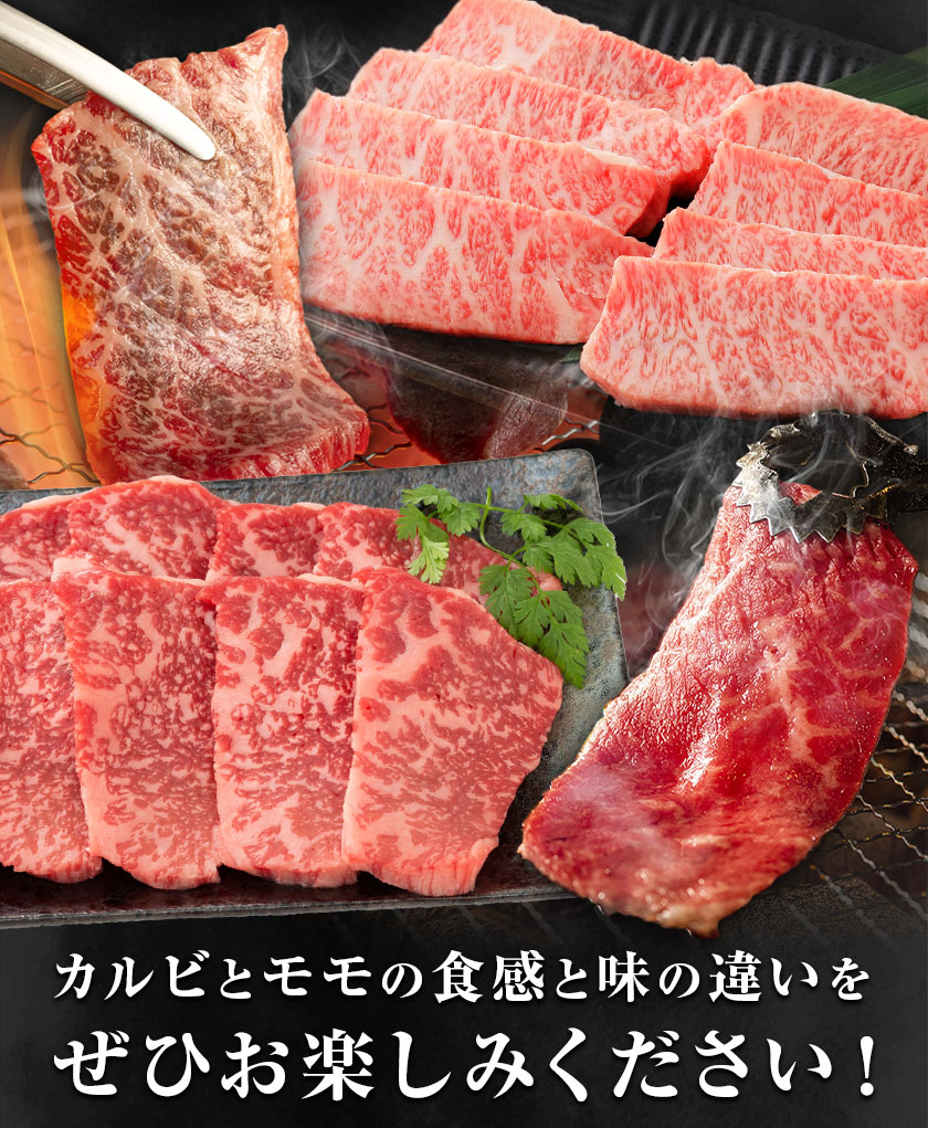 熊本和王 焼肉 食べ比べセット カルビ ・ モモ 約150g × 2パック 合計約300g ケーズフードマーケティング《90日以内に出荷予定(土日祝除く)》熊本県 菊池市 食べ比べ 2種類 セット お肉 牛肉 和牛 くまもと黒毛和牛 熊本県産 九州産 国産---179-2659---