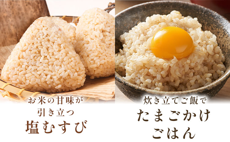 熊本県菊池産 玄米 10kg お米 ヴァリアス株式会社《30日以内に出荷予定(土日祝除く)》 菊池市産 熊本県産 九州産 送料無料---028-2481---