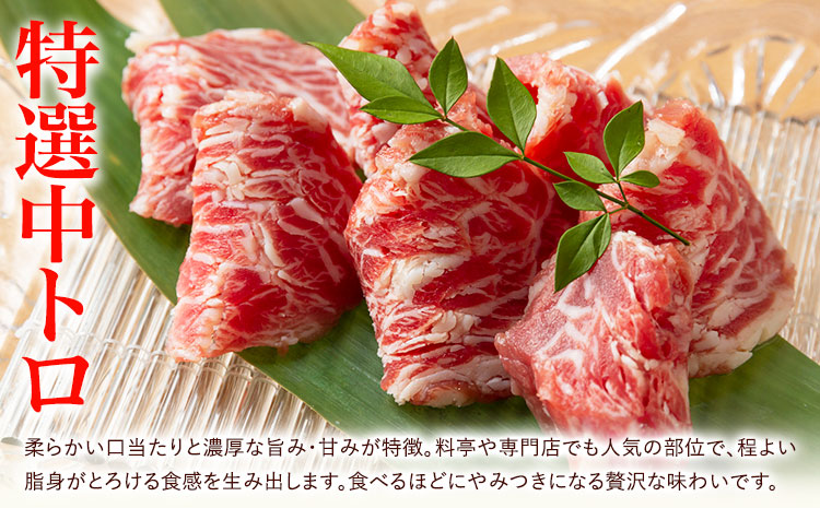 馬刺し スライス 2種セット 計200g 赤身 特選中トロ 馬刺しタレ 有限会社草佳苑《30日以内に出荷予定(土日祝除く)》熊本県 菊池市 馬刺し 馬肉 肉 お肉 赤身 特選中トロ 馬刺しタレ---311-0005---