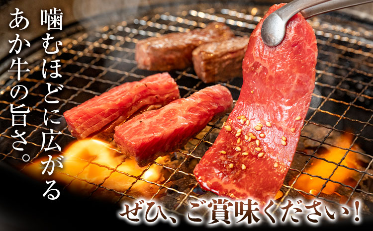 くまもとあか牛 カルビ ロース セット 約500g 有限会社草佳苑《30日以内に出荷予定(土日祝除く)》熊本県 菊池市 肉 牛肉 お肉 和牛 あか牛 焼肉 バーベキュー BBQ 熊本県産 冷凍 送料無料---311-0002---