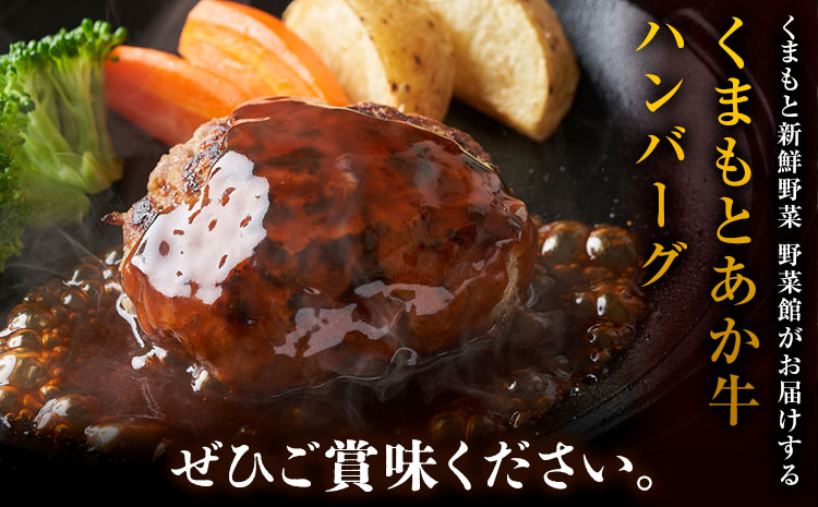 くまもとあか牛ハンバーグ 150g×6個 有限会社草佳苑《30日以内に出荷予定(土日祝除く)》熊本県 菊池市 肉 牛肉 お肉 和牛 あか牛 ハンバーグ 熊本県産 冷凍---311-0001---