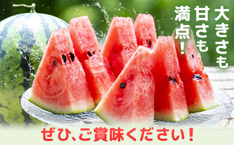 【先行予約】大玉すいか 2玉約10kg 日本フルーツ株式会社《4月下旬-7月下旬頃出荷》熊本県 菊池市 すいか スイカ 大玉 熊本県産---308-5012---