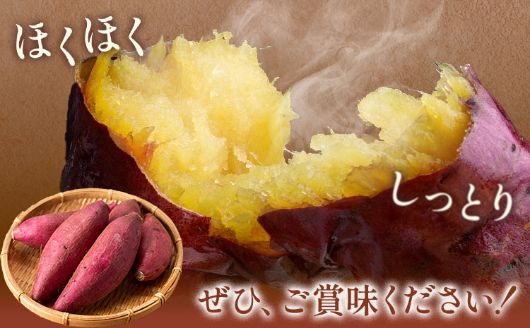 【先行予約】訳あり さつまいも 約5kg 日本フルーツ株式会社《2026年10月上旬-11月中旬頃出荷》熊本県 菊池市 さつまいも サツマイモ 訳あり 熊本県産---308-5005---