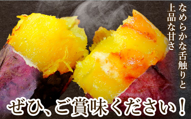 【先行予約】シルクスイート さつまいも 約5kg 日本フルーツ株式会社《2026年11月上旬-12月中旬頃出荷》熊本県 菊池市 さつまいも サツマイモ シルクスイート 熊本県産---308-5006---