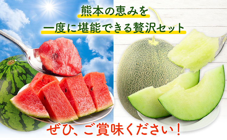 小玉スイカ&肥後グリーンメロン 食べ比べ 各1玉(計2玉 約3.5kg)  日本フルーツ株式会社 《5月中旬-7月末頃出荷》 熊本県 菊池市 西瓜 メロン 熊本県産---308-5008---