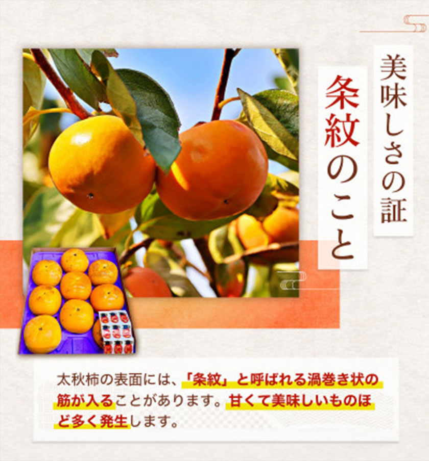 太秋柿 柿 約2kg 株式会社エフビーネット《10月上旬-11月上旬頃出荷》熊本県 菊池市 柿 かき たいしゅうがき 果物 フルーツ 秋の味覚 旬 デザート---034-5015---