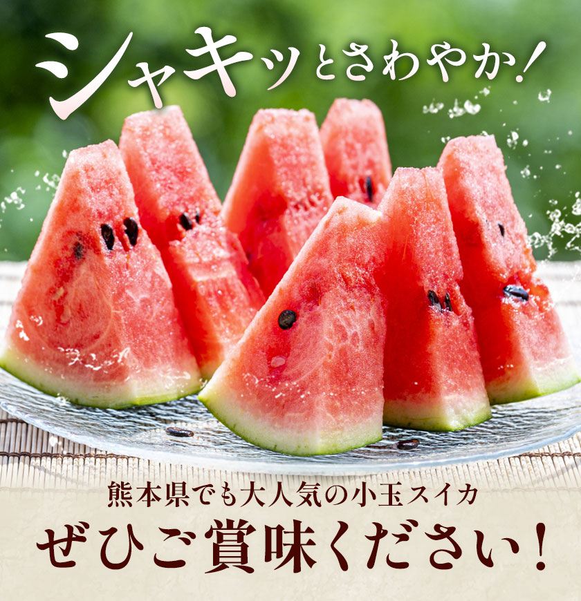 小玉スイカ 3L以上 2玉 計約3kg 株式会社エフビーネット《5月上旬-7月中旬頃出荷》熊本県 菊池市 小玉すいか すいか スイカ 西瓜 果物 フルーツ---034-5012---