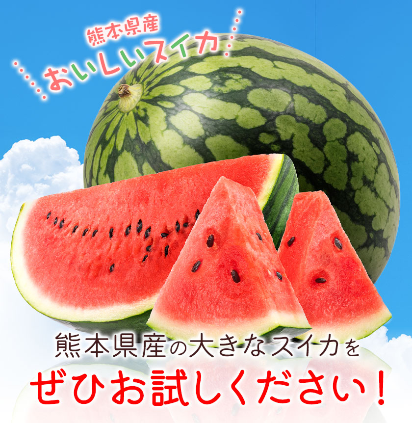【先行予約】大玉すいか 1玉 約4kg 株式会社エフビーネット《5月上旬-7月中旬頃出荷》熊本県 菊池市 すいか スイカ 大玉 熊本県産 フルーツ---034-5011---